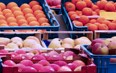 Presentación de Planes de Negocios con Destino a Exportación de Frutas y Hortalizas